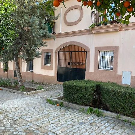 Sevilla. Gerena Casa Rural Para Familia O Profesionales Eksteriør billede