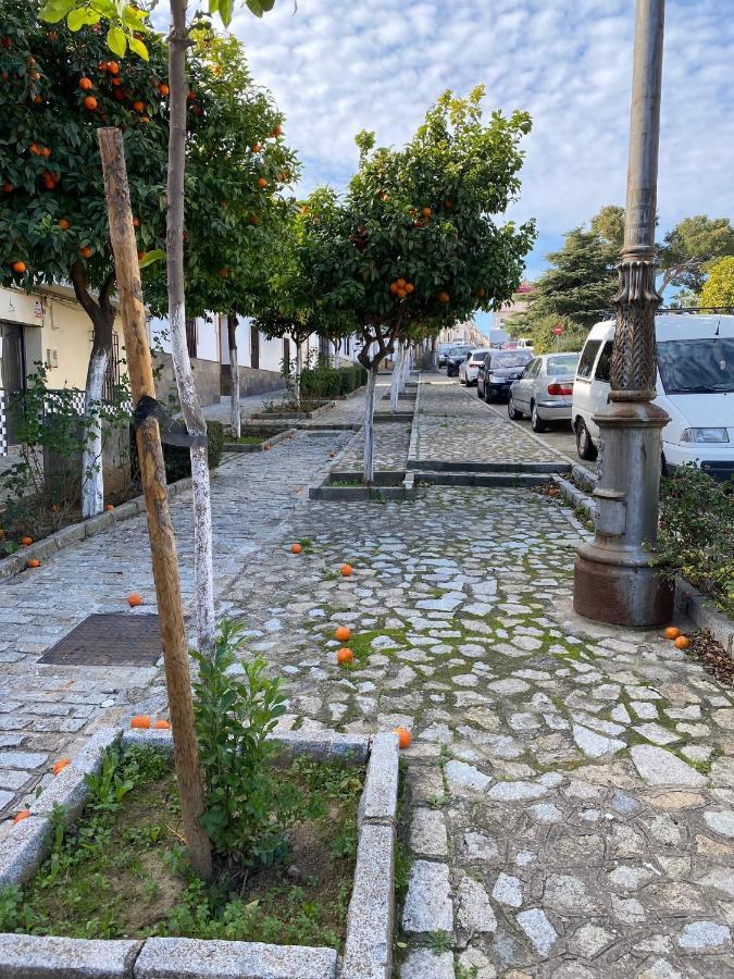 Sevilla. Gerena Casa Rural Para Familia O Profesionales Eksteriør billede